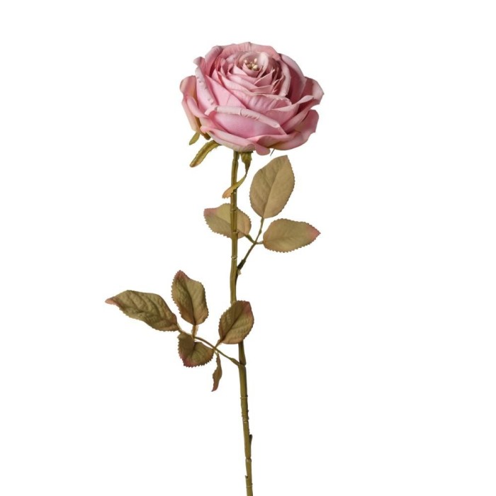 RAMO ROSA SINGOLA CM66 LAVANDA VINTAGE